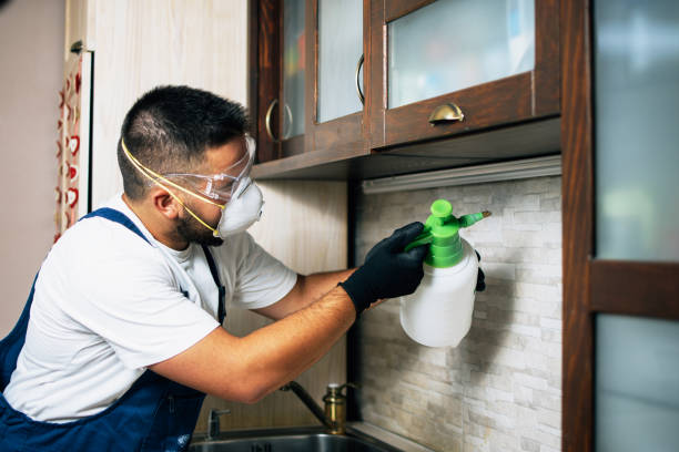 Best Commercial Pest Control Services  in Highland Rk, PA