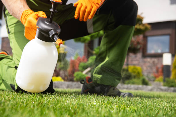 Trusted Highland Park, PA Pest Control Experts