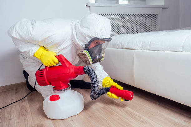 Best Flea Control Services  in Highland Rk, PA