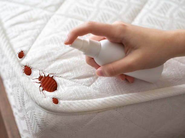 Best Pest Prevention Services  in Highland Rk, PA